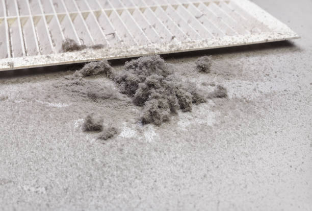 Best Air Duct Sanitizing Services  in Fanwood, NJ