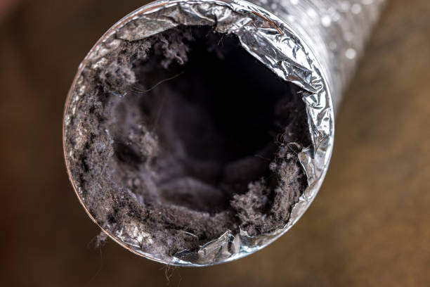 Best Affordable Duct Cleaning Services  in Fanwood, NJ